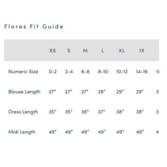 Mi Golondrina Flores Embroidered Mexican Top Blouse Blue Gingham Tuckernuck - Picture 2 of 4